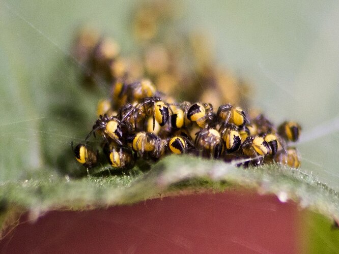 KrquvCAZsiRGX_nw-kXSezySD3JVpQt7YGnme75KVCg666iwx1Fj1VGbkoh45c2I5Uuec0xFnMceTIDcgBp6Ee0u