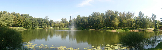 DSC_0312.JPG
