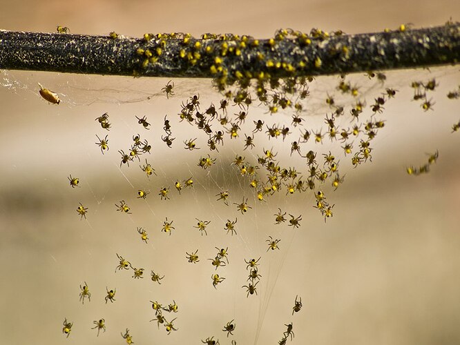 SY2fM784YjOFmralKYIsuNVHNT91SpbUo2LL19M-lp_y5XNonquTDAHQvMKBV6F_tANyvz0pObQk7T4avMWlu89a