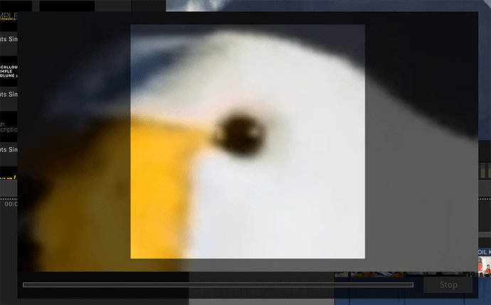005.png